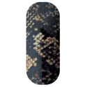 Rattle Snakeskin